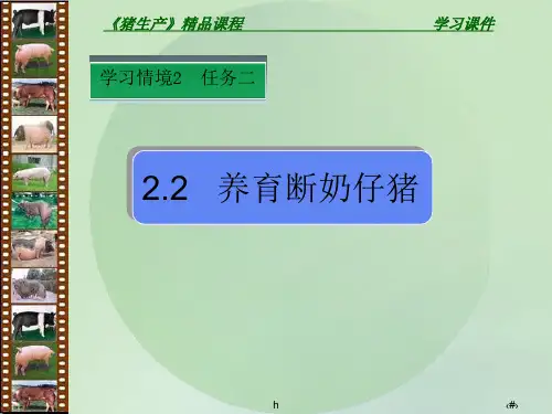 《养育断奶仔猪》PPT课件