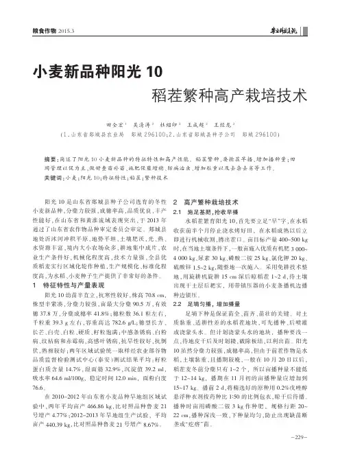 小麦新品种阳光10稻茬繁种高产栽培技术