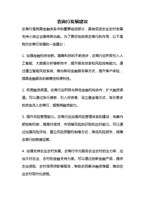 农商行发展建议