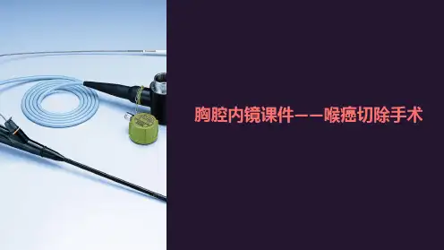 “胸腔内镜课件-喉癌切除手术”