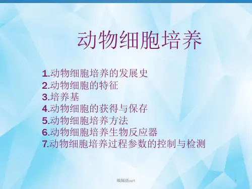 动物细胞培养PPT医学课件