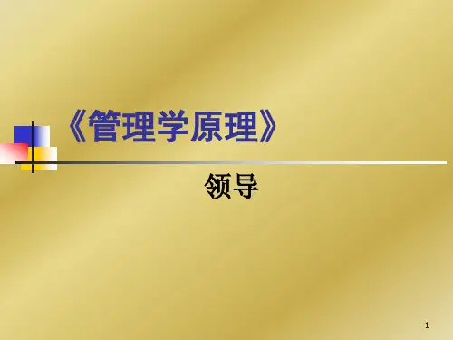 第六章 领导