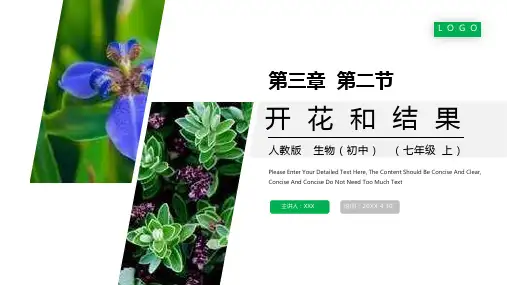 《开花和结果》人教版七年级初一生物上册PPT课件