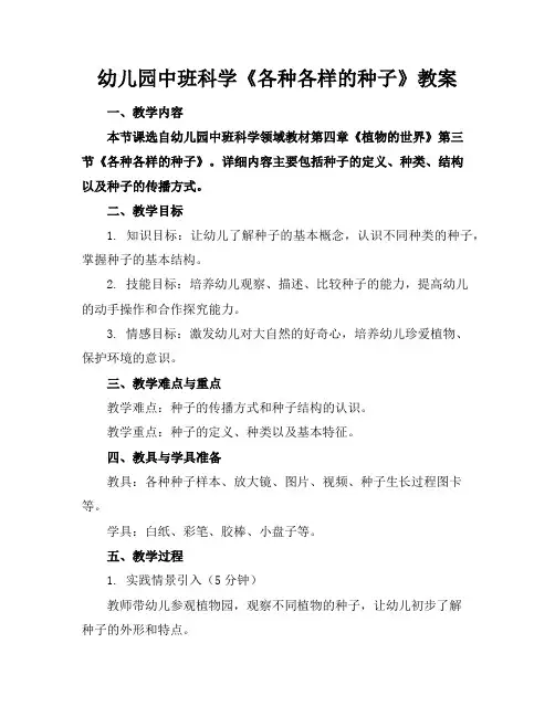 幼儿园中班科学《各种各样的种子》教案