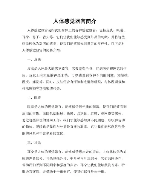 人体感觉器官简介