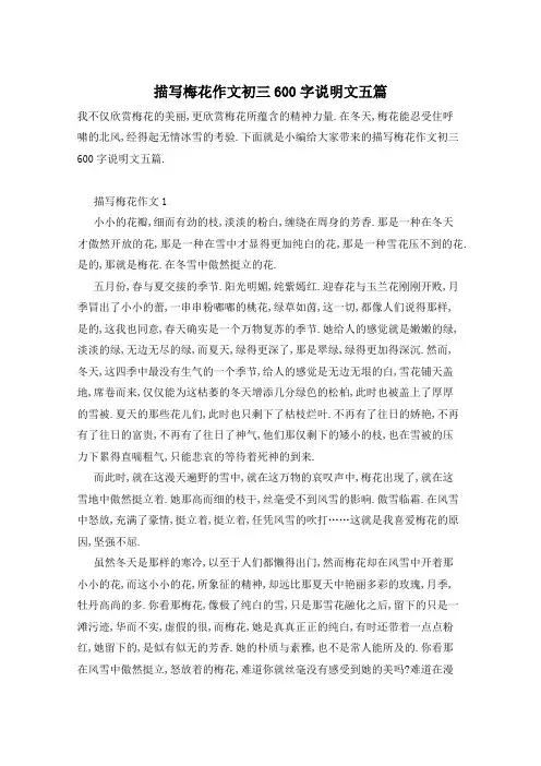 描写梅花作文初三600字说明文五篇