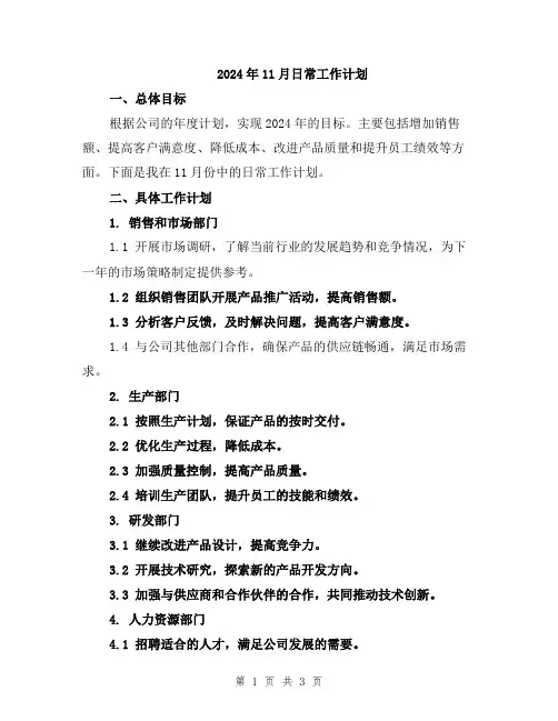 2024年11月日常工作计划