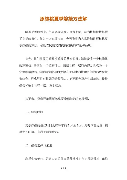 核桃夏季嫁接方法解