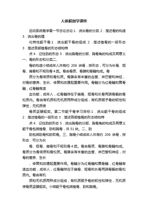 人体解剖学课件