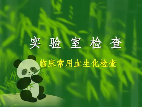 临床常用血生化检查ppt课件