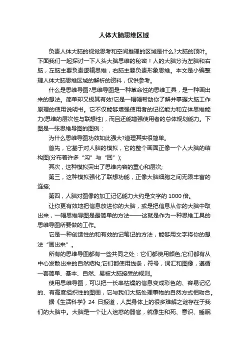 人体大脑思维区域