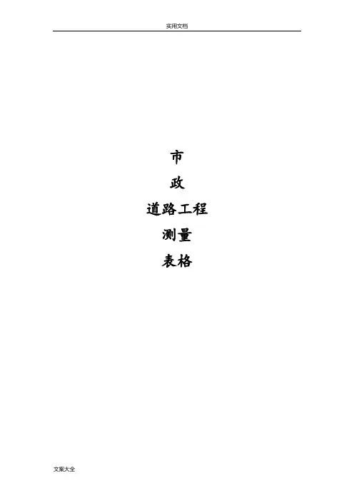 市政道路施工测量表格