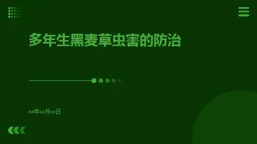 多年生黑麦草虫害的防治