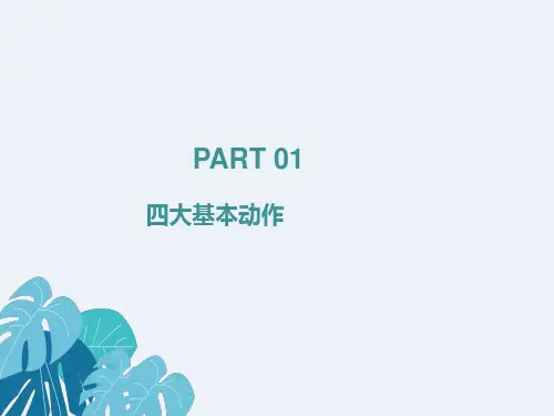 无限极新人四大基本动作