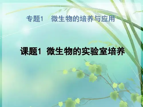 高中生物选修一：2.1微生物的培养与应用 PPT课件 图文