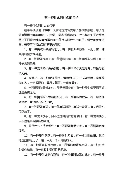 有一种什么叫什么的句子