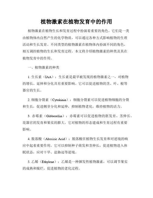 植物激素在植物发育中的作用