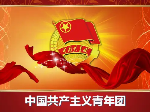 光荣啊,中国共青团