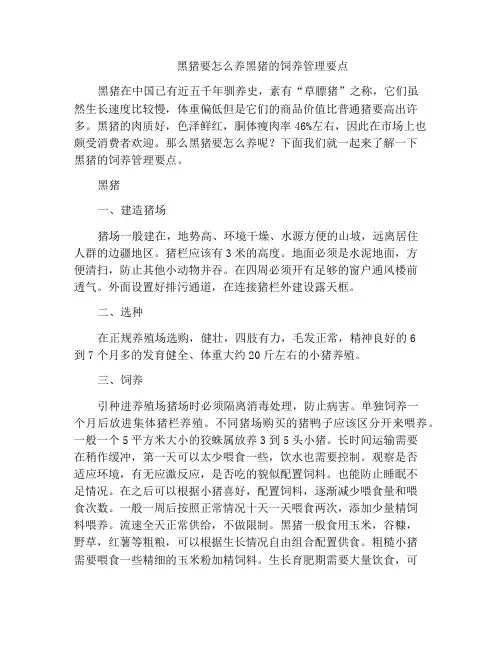 黑猪要怎么养黑猪的饲养管理要点