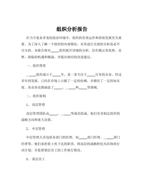 组织分析报告