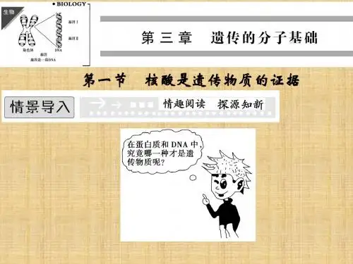 【创新设计】高中生物 3.1 核酸是遗传物质的证据名师优质课件 浙科版必修2