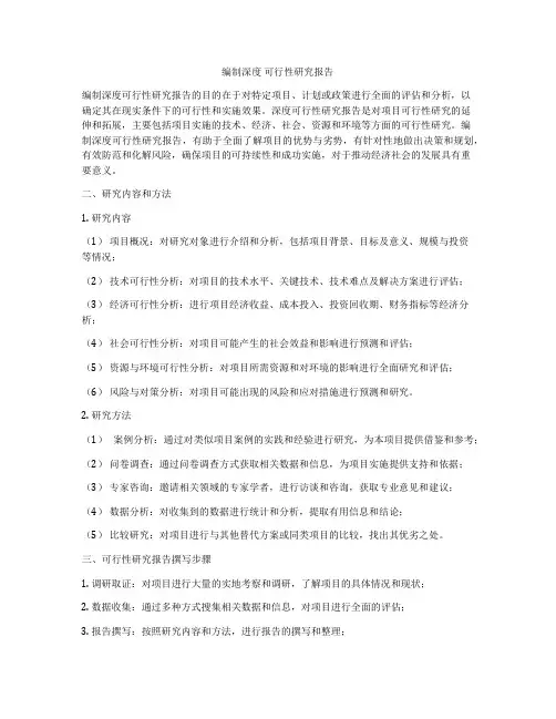 编制深度 可行性研究报告