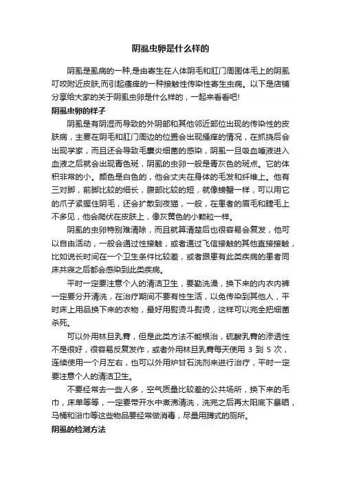 阴虱虫卵是什么样的