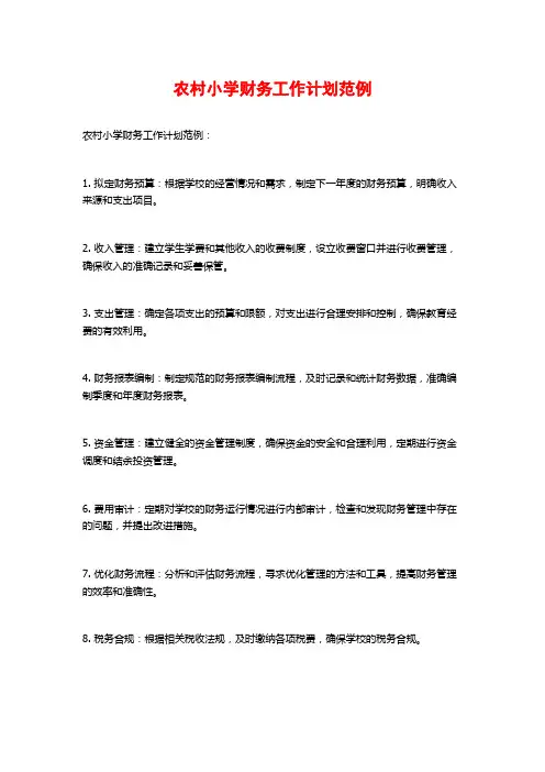 农村小学财务工作计划范例
