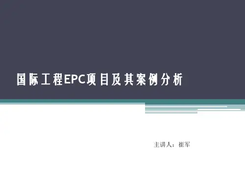 国际工程项目案例分析