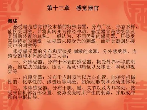 家畜解剖学 感觉器官汇总