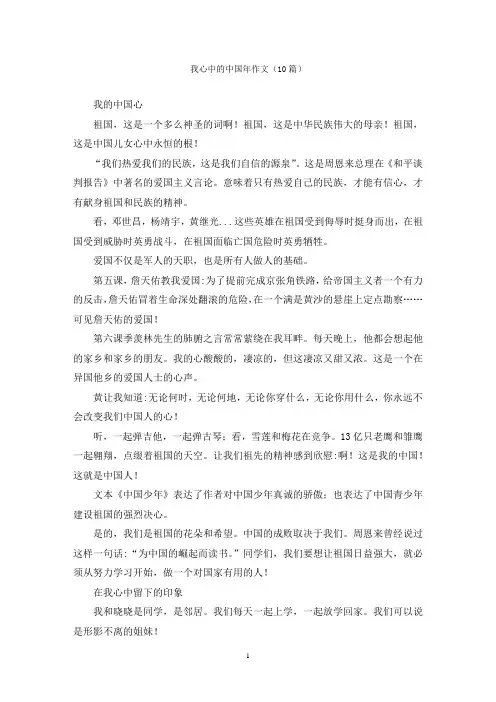 我心中的中国年作文(10篇)