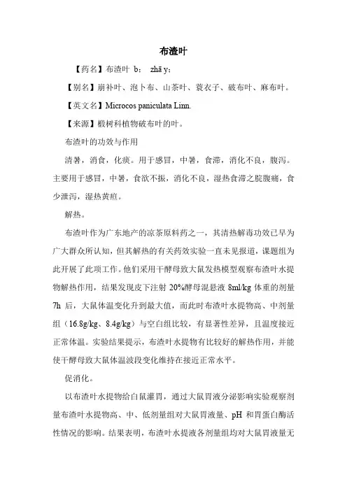 布渣叶的药用价值