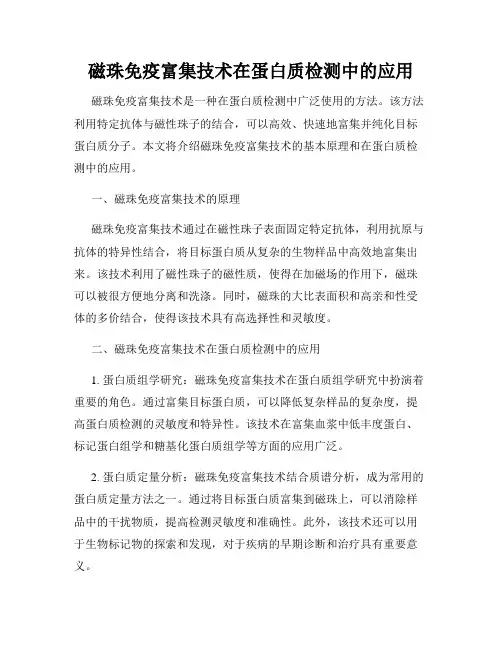 磁珠免疫富集技术在蛋白质检测中的应用