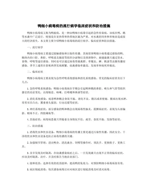 鸭细小病毒病的流行病学临床症状和防治措施