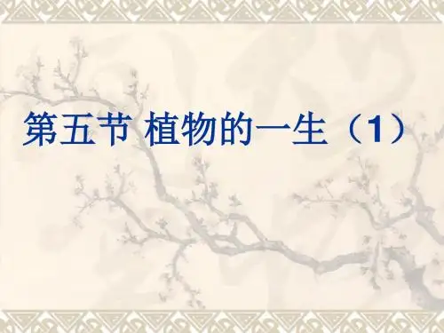 【初中生物】植物的一生PPT课件1