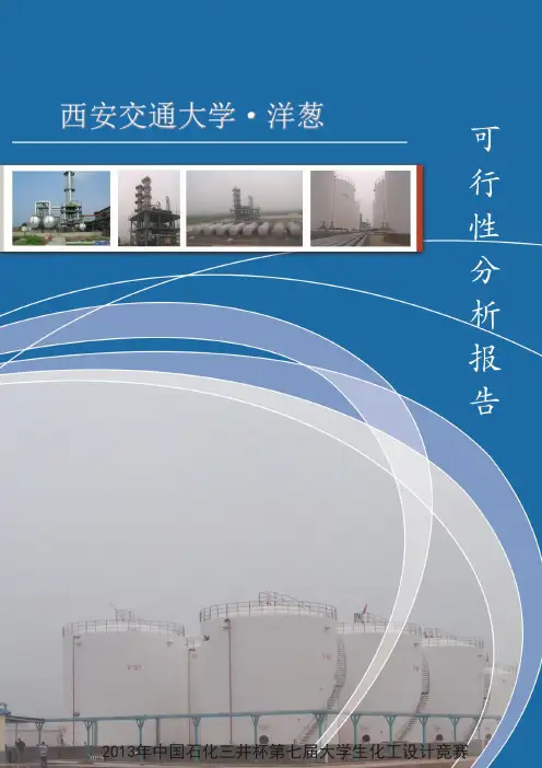 可行性研究报告