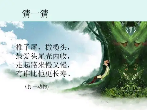 鄂教版六年级语文下册9犟龟课件