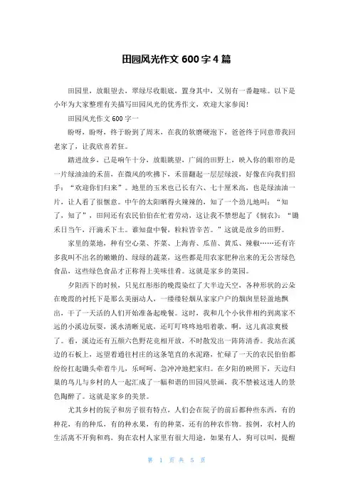 田园风光作文600字4篇