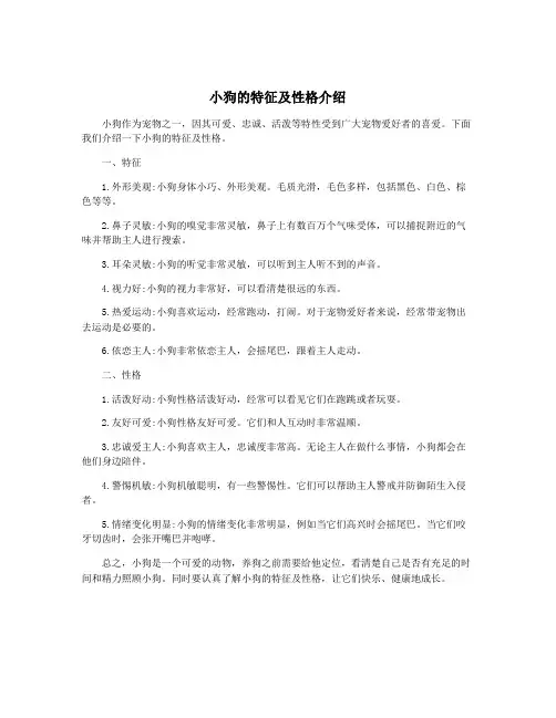 小狗的特征及性格介绍
