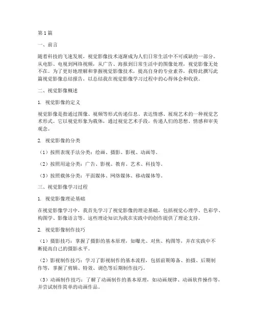 视觉影像总结报告范文(3篇)