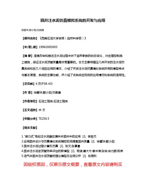 固井注水泥仿真模拟系统的开发与应用