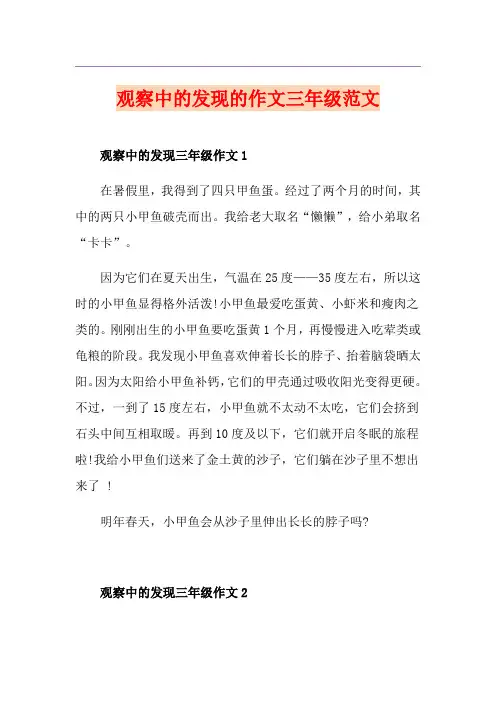 观察中的发现的作文三年级范文