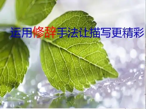 初中作文 运用修辞手法让描写更精彩PPT优秀课件(22张)