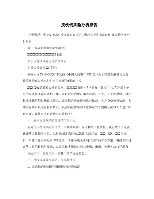 反洗钱风险分析报告