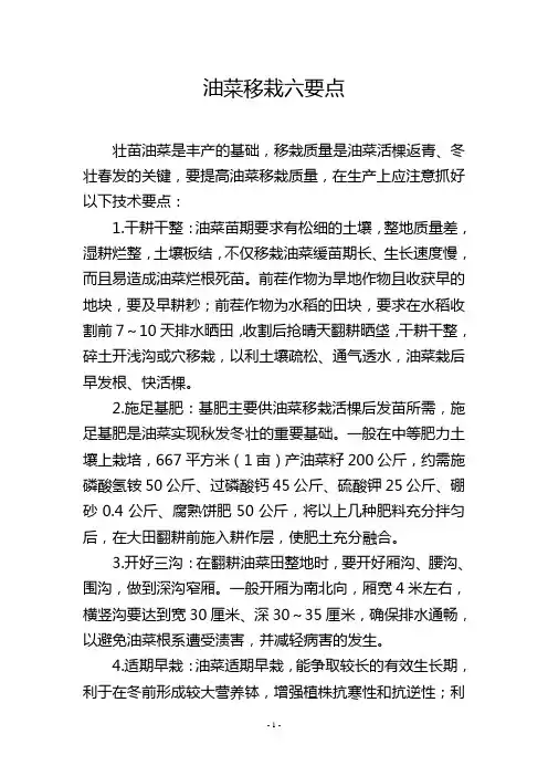 油菜移栽六要点