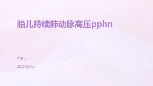 胎儿持续肺动脉高压pphn
