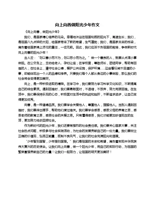 向上向善做阳光少年作文
