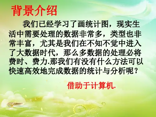 信息技术运用用计算机画统计图