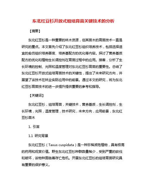 东北红豆杉开放式组培育苗关键技术的分析