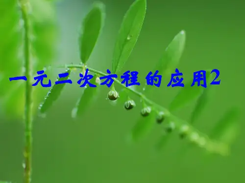 一元二次方程的应用PPT课件